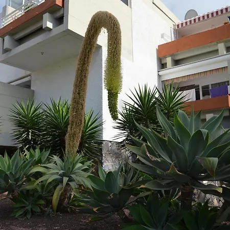 Entero Frontera Primavera Apartmán